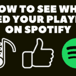 How To See Who Liked Your Playlist On Spotify?