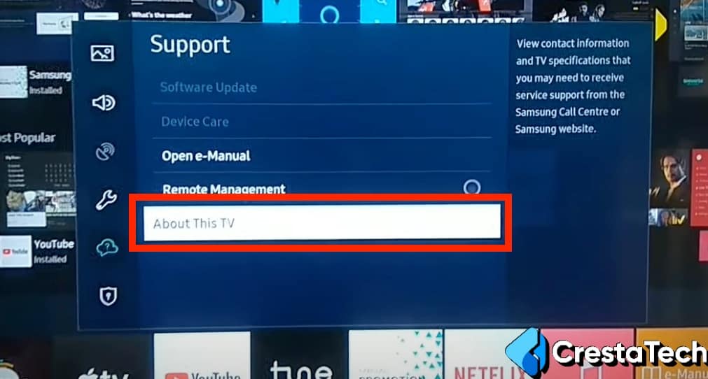 About This TV Samsung TV Settings