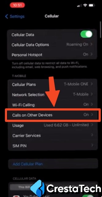 Calls on other devices iPhone Settings